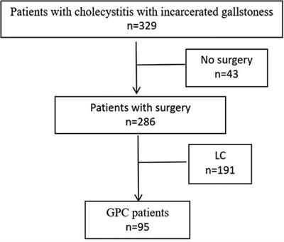 Changes in Gallbladder Contractile Function and its Influencing Factors After Minimally Invasive Gallbladder-Preserving Surgery for Cholecystitis With Incarcerated Gallstones